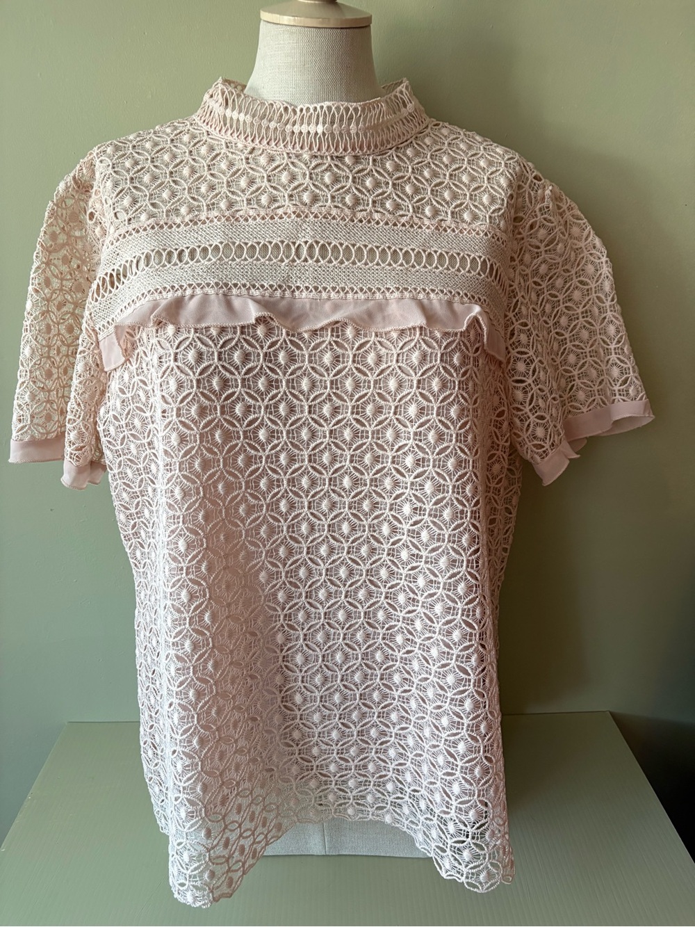 Adiva Pale Pink Crochet Lace Short Sleeve Blouse XL Coquette girl